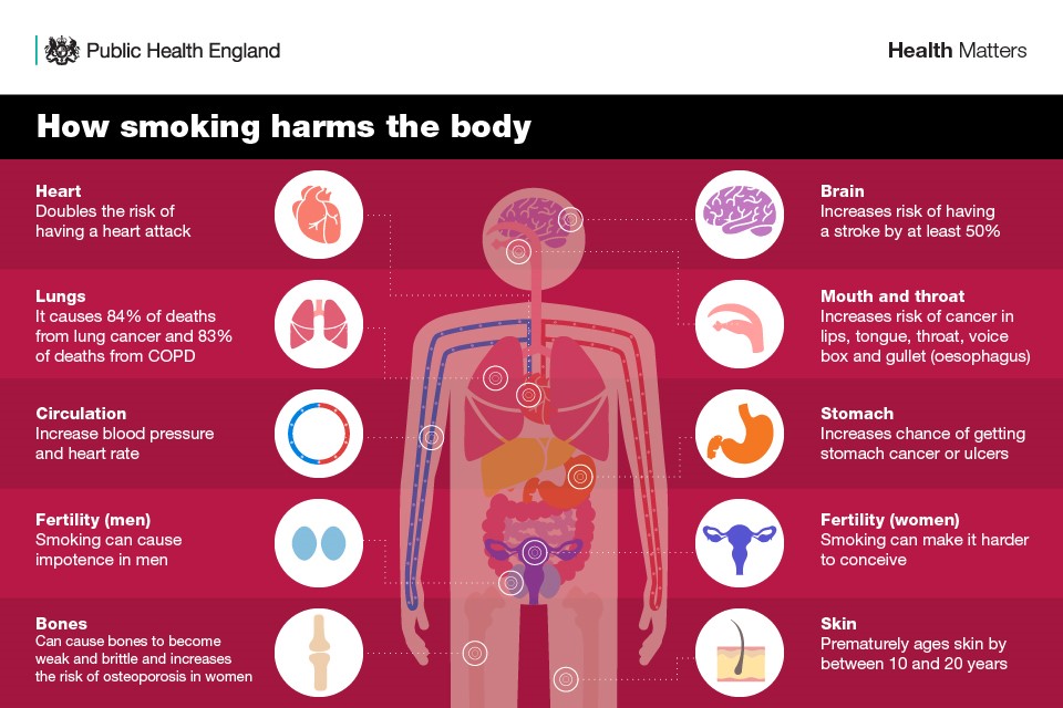 effects of smoking on the lungs