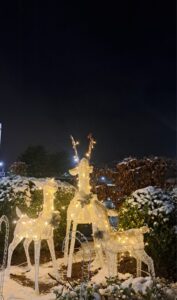 Photo of light up reindeer decorations.