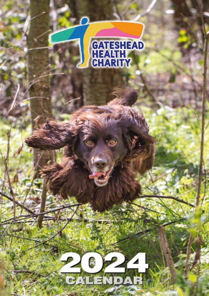 picture of brown dog jumping over grass in a forest. Includes new Gateshead Health Charity logo and wording '2024 calendar'