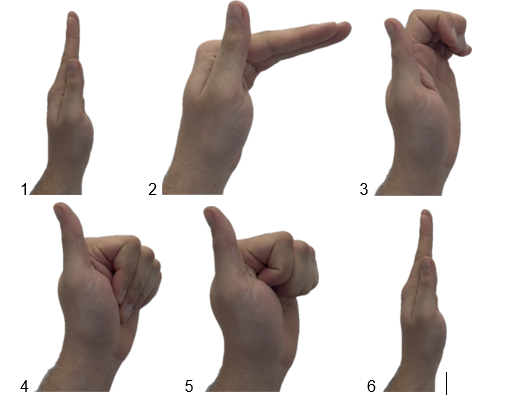 This image has an empty alt attribute; its file name is image-1.png
