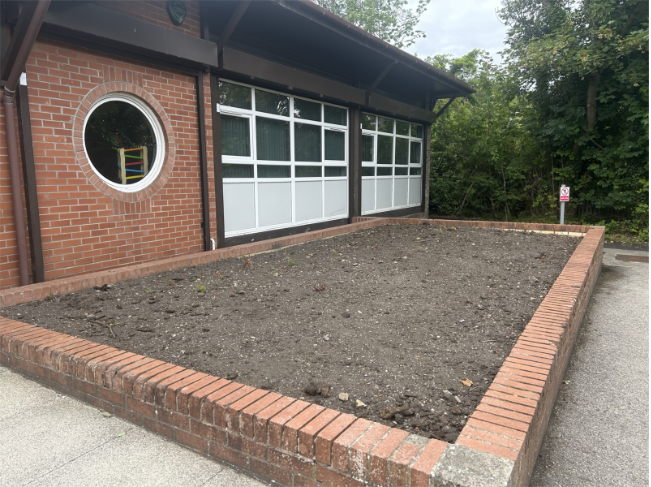 garden with a window behind it 