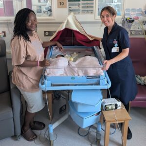 Photo of a midwife with a new mum and twin babies.