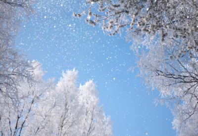 Snow Winter Scene