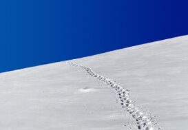 Footprints on a snowy hill with a blue sky